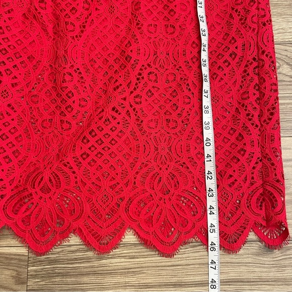 Tadashi Shoji Red Crochet Lace Jacques Midi Dress - Picture 10 of 12